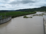 img0006.jpg