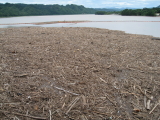 img0007.jpg