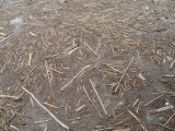 img0013.jpg