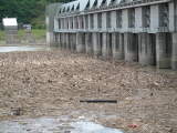 img0019.jpg