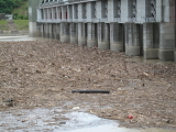 img0020.jpg