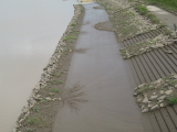 img0025.jpg