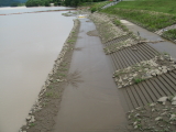 img0026.jpg