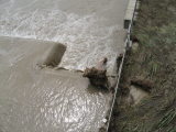 img0035.jpg