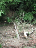 img0037.jpg