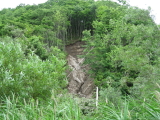 img0038.jpg