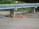 img0043.jpg