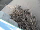 img0060.jpg