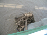 img0061.jpg