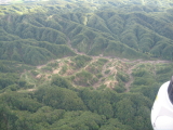 img0016.jpg
