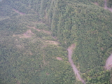 img0040.jpg