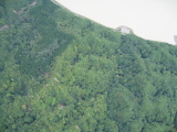 img0061.jpg